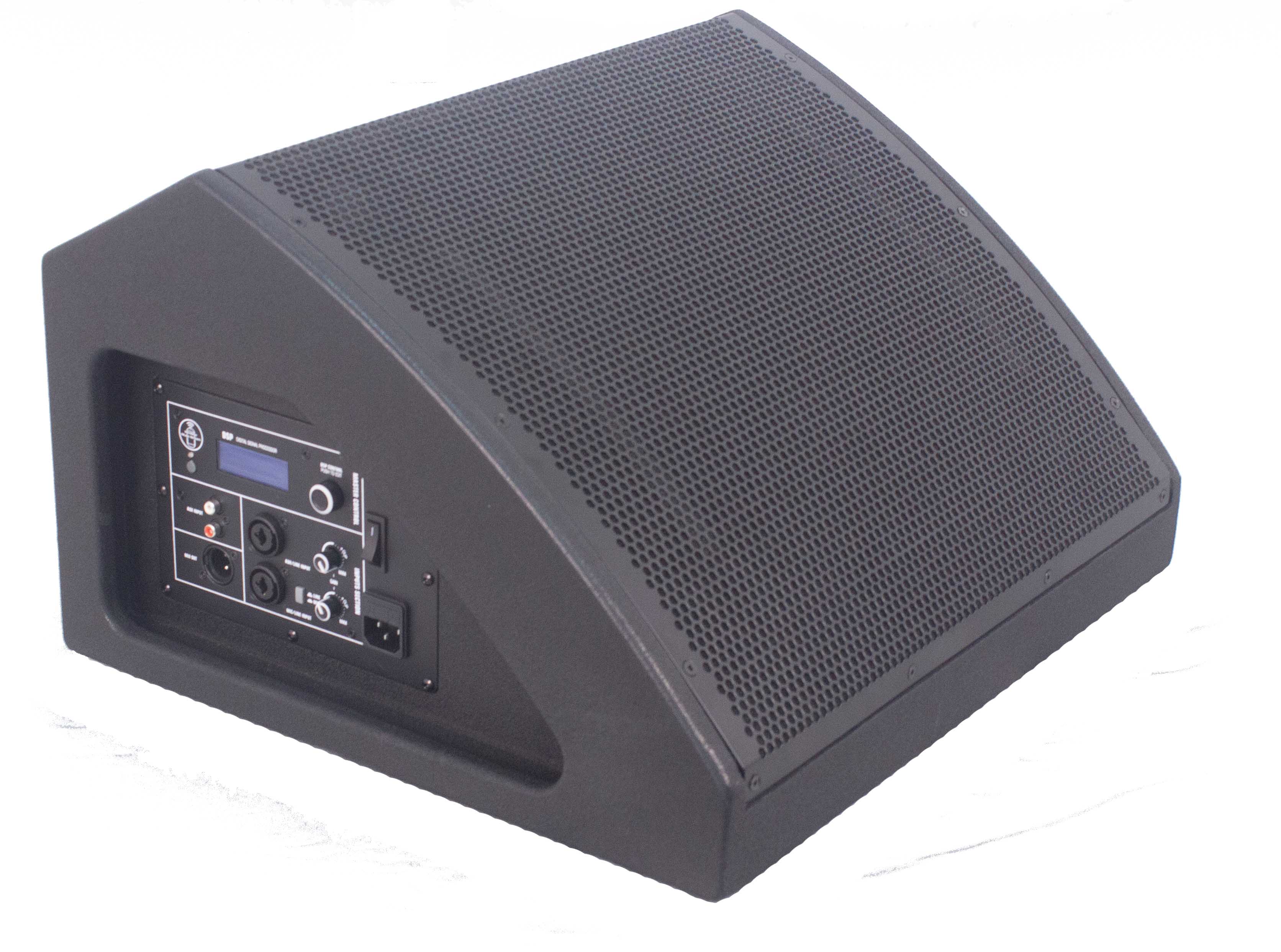 12 inch active coaxial stage monitor